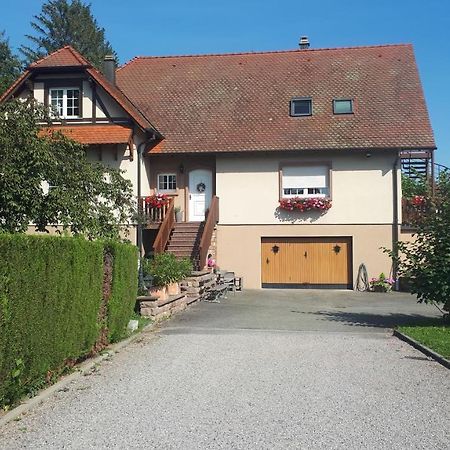 Gite Le Platane 45 m2 - climatisé Monswiller Esterno foto