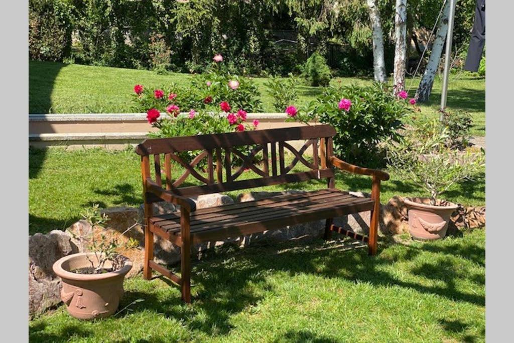 Gite Le Platane 45 m2 - climatisé Monswiller Esterno foto