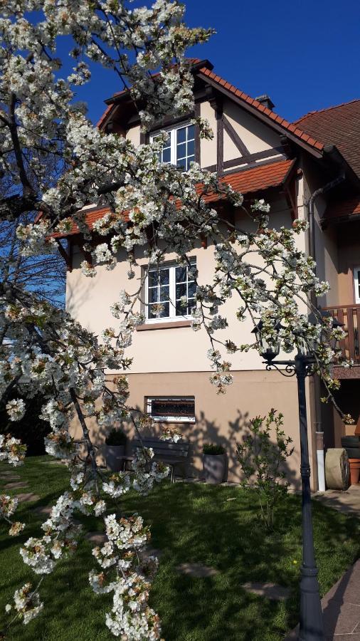 Gite Le Platane 45 m2 - climatisé Monswiller Esterno foto