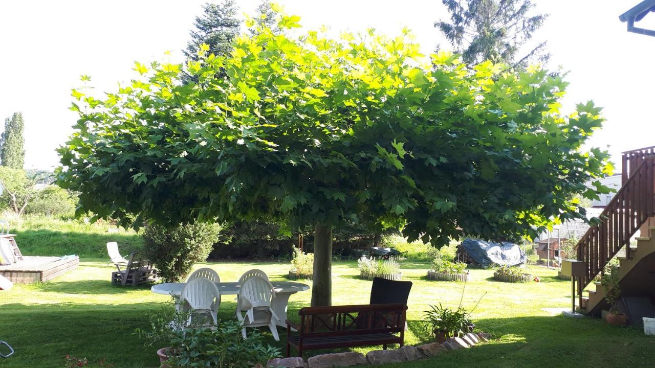 Gite Le Platane 45 m2 - climatisé Monswiller Esterno foto
