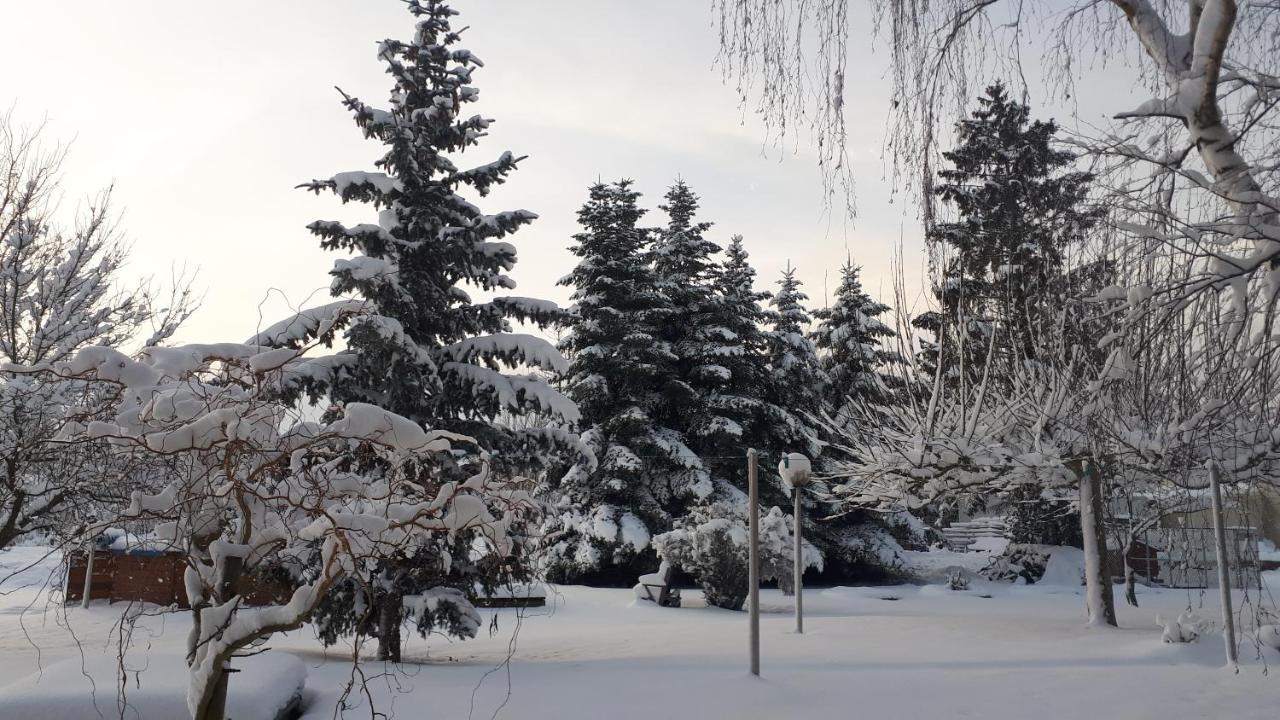 Gite Le Platane 45 m2 - climatisé Monswiller Esterno foto