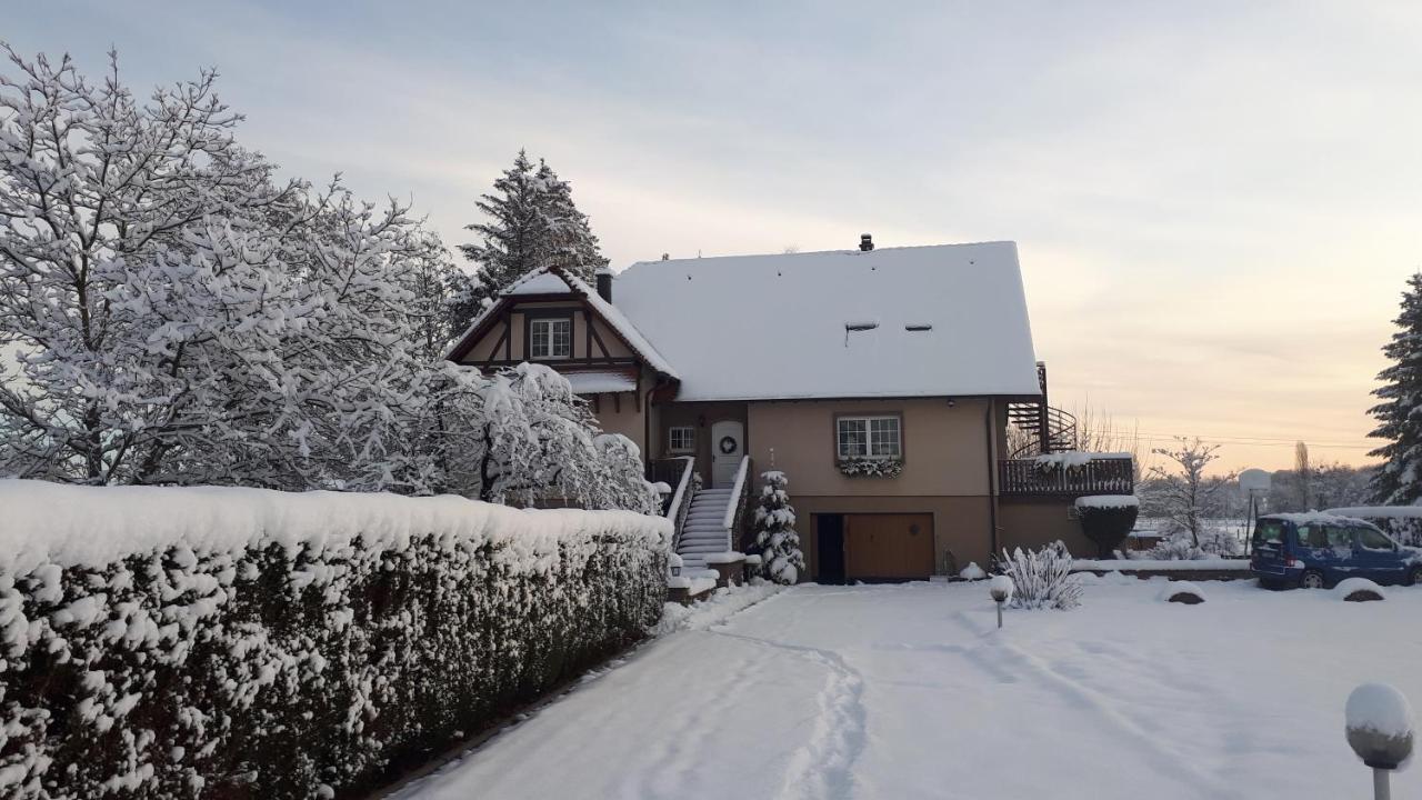 Gite Le Platane 45 m2 - climatisé Monswiller Esterno foto