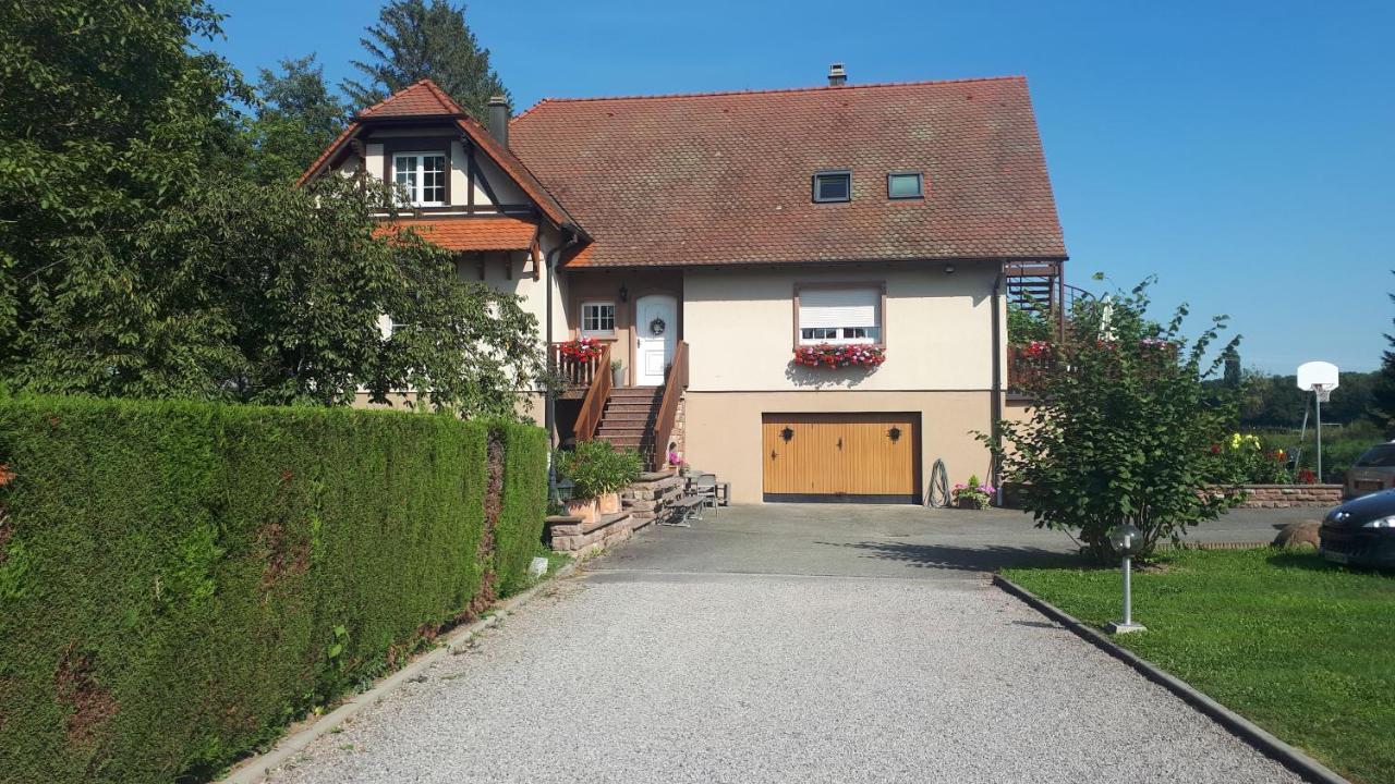 Gite Le Platane 45 m2 - climatisé Monswiller Esterno foto