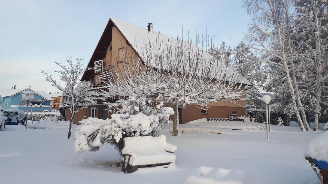 Gite Le Platane 45 m2 - climatisé Monswiller Esterno foto